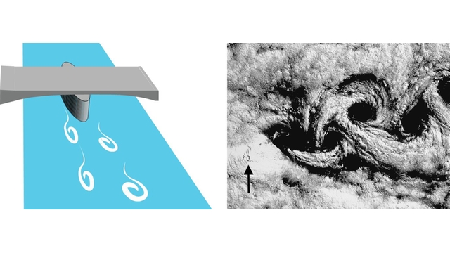 Foto tomada desde un satélite y gráfico ilustrando la formación de vórtices.