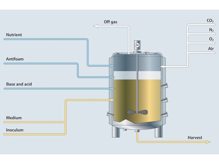 Mapa del proceso de fermentación