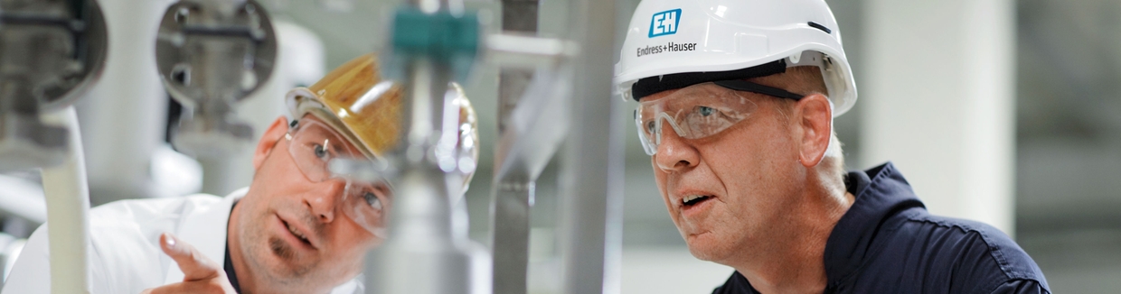 Newsletter Endress+Hauser