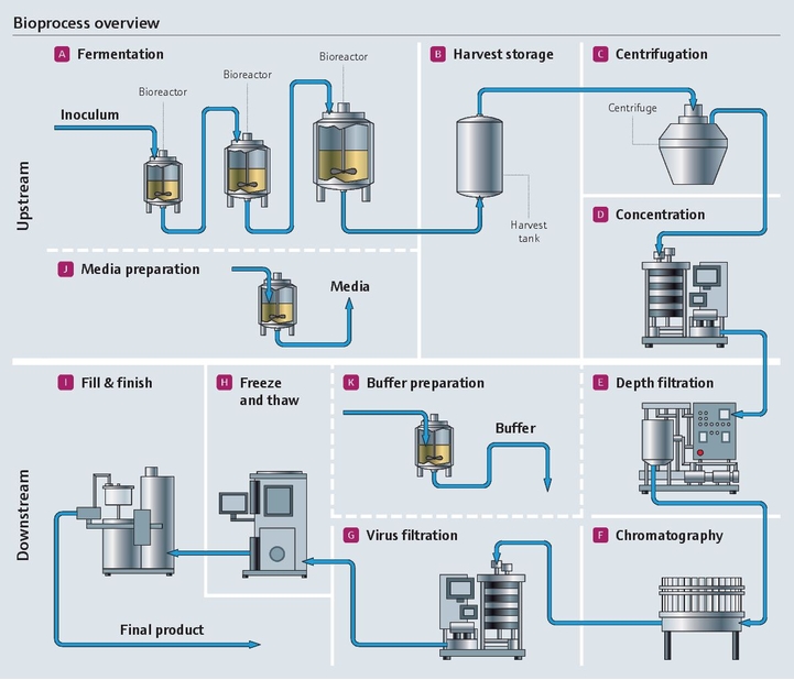 Visión general del bioproceso