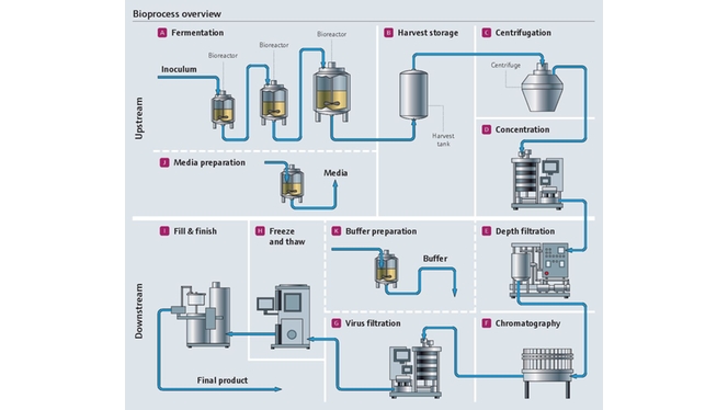 Visión general del bioproceso