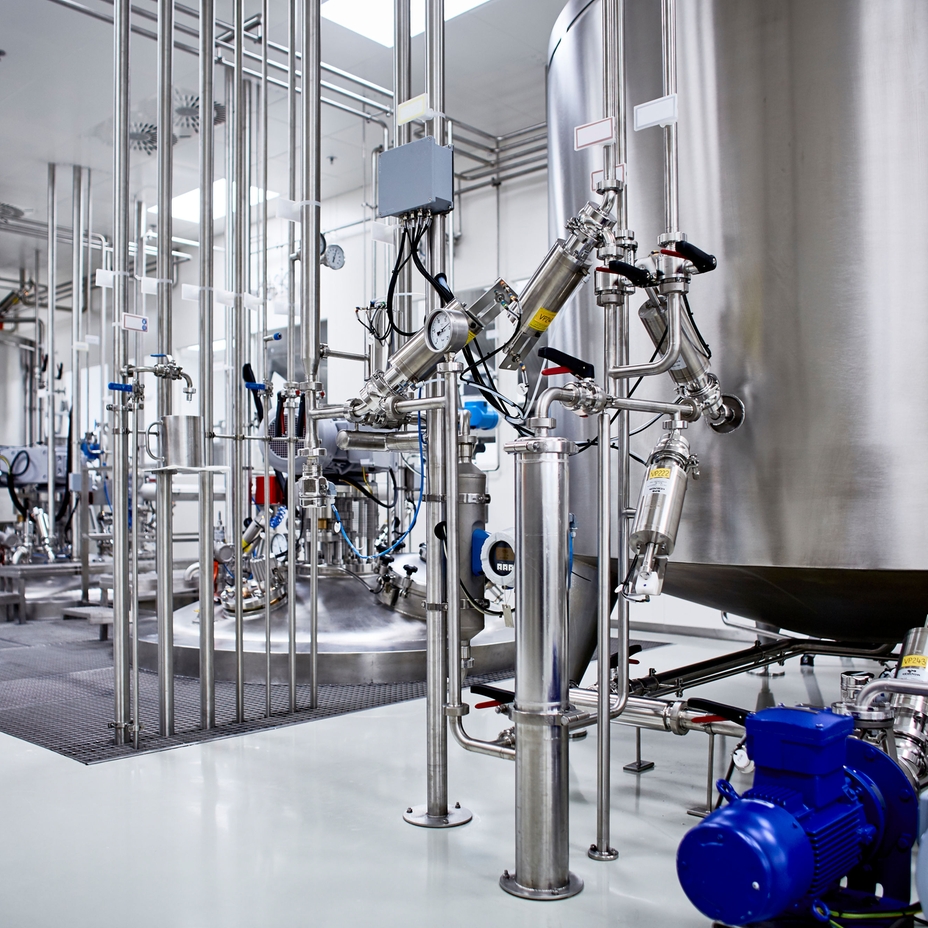 Crecimiento celular en un biorreactor para producir carne cultivada