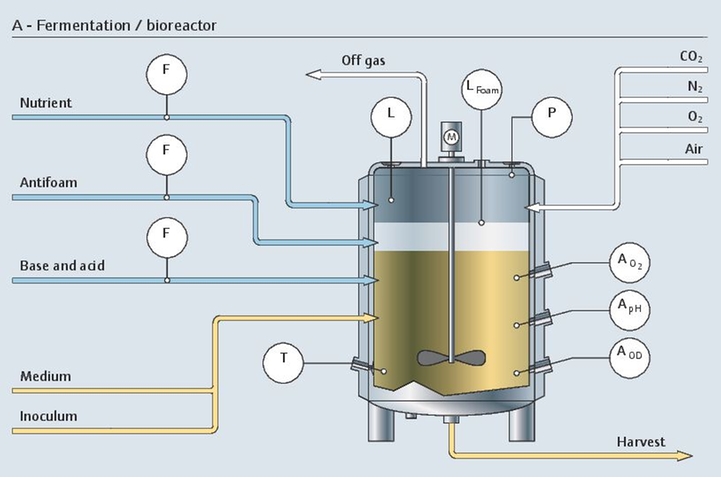 El procesado previo de fermentación en un biorreactor con todos los puntos de toma de mediciones relevantes