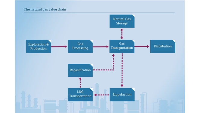 La cadena de valor del gas natural / gas natural licuado