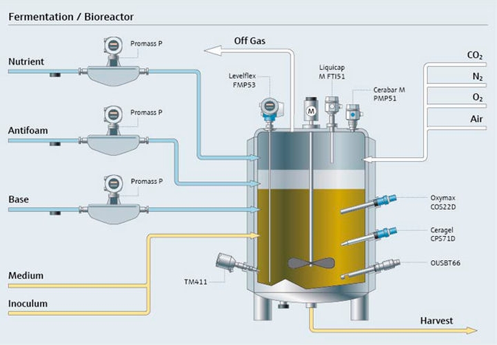 proceso de fermentación