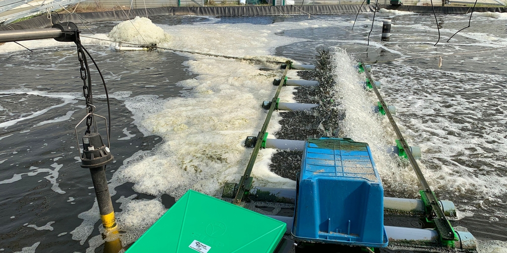 Monitorización fiable de la calidad del agua para garantizar un rendimiento de producto ideal en la cría de gambas en acuicultura