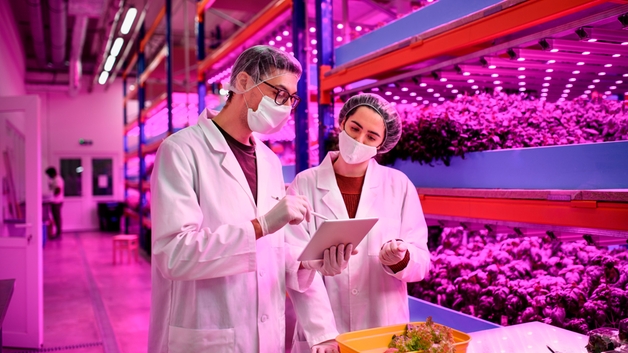 medición del pH en una planta inteligente de agricultura vertical para garantizar alimentos de la máxima calidad