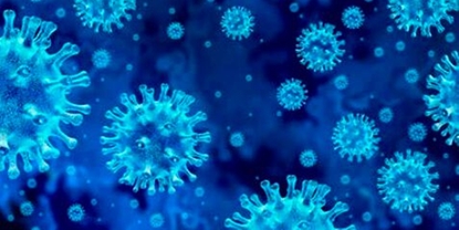 Detección del virus SARS Cov-2 en aguas residuales para realizar predicciones fiables