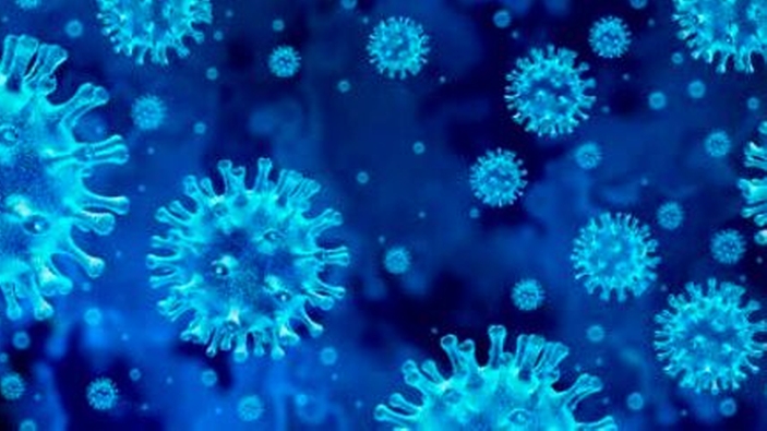 Detección del virus SARS Cov-2 en aguas residuales para realizar predicciones fiables