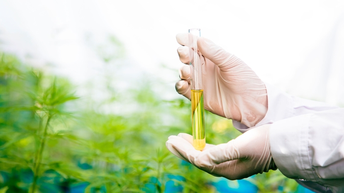 Aceite esencial de cánnabis en un vial de cristal
