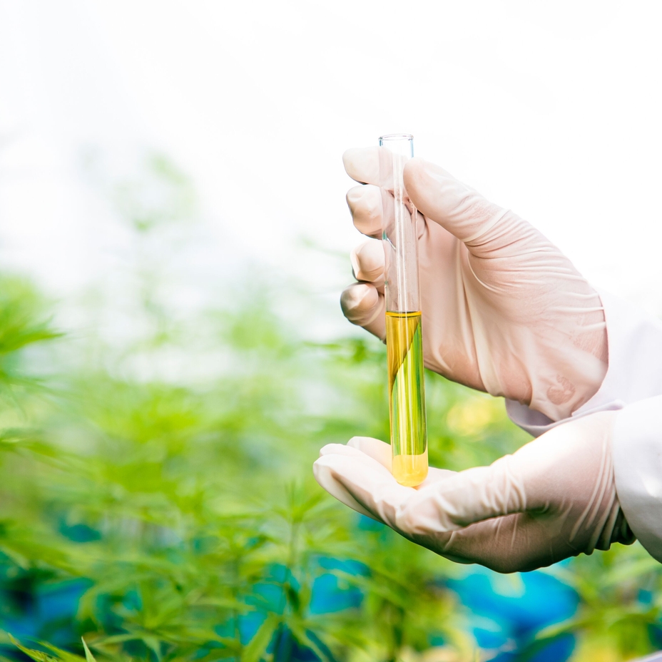 Aceite esencial de cánnabis en un vial de cristal